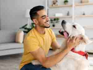 Consulta Etológica Virtual