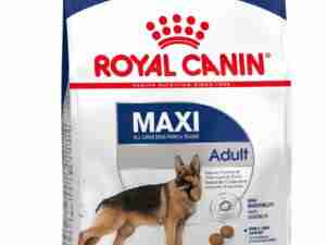 Royal Canin para Perros Maxi Adultos 4Kg