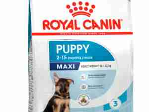 Royal Canin Maxi para Cachorros Raza grande 4Kg