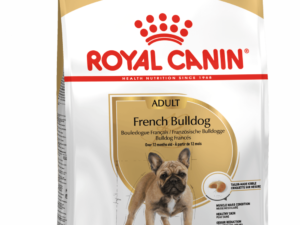 Royal Canin Bulldog Frances Adultos