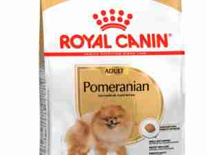 Royal Canin para Perros Pomeranian