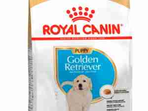 Royal Canin Cachorros Golden Retriever 12K