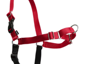 Easy Walk Arnes Antijalones para Perros